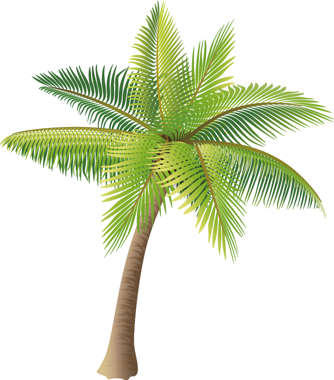 Coconut Tree Transparent Images