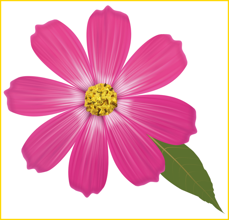 Farbiger Blumen-Download PNG-Bild