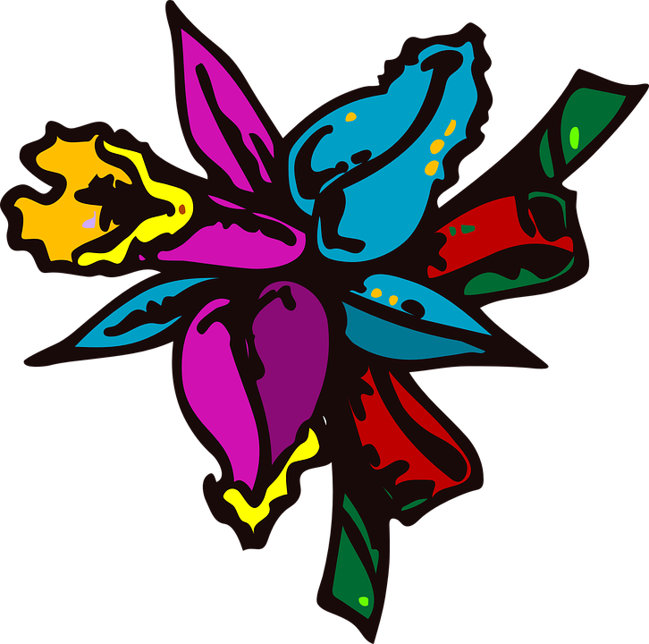 Image PNG florale colorée avec fond Transparent