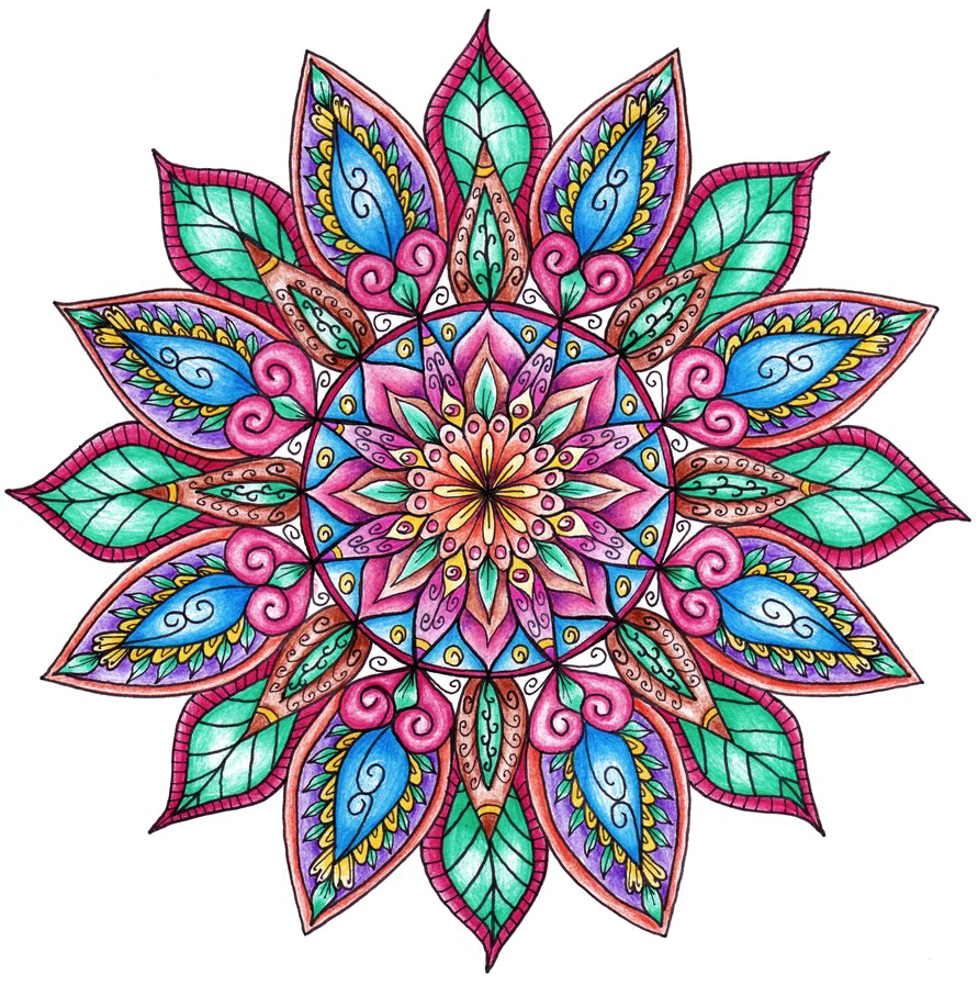 Colored Floral PNG Pic