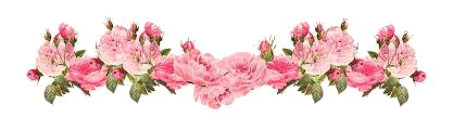 Fundo transparente floral colorido PNG