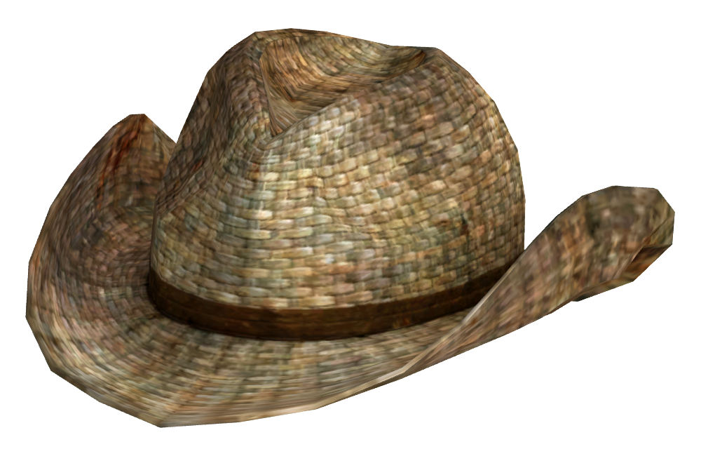 Chapéu de Cowboy Download PNG Image