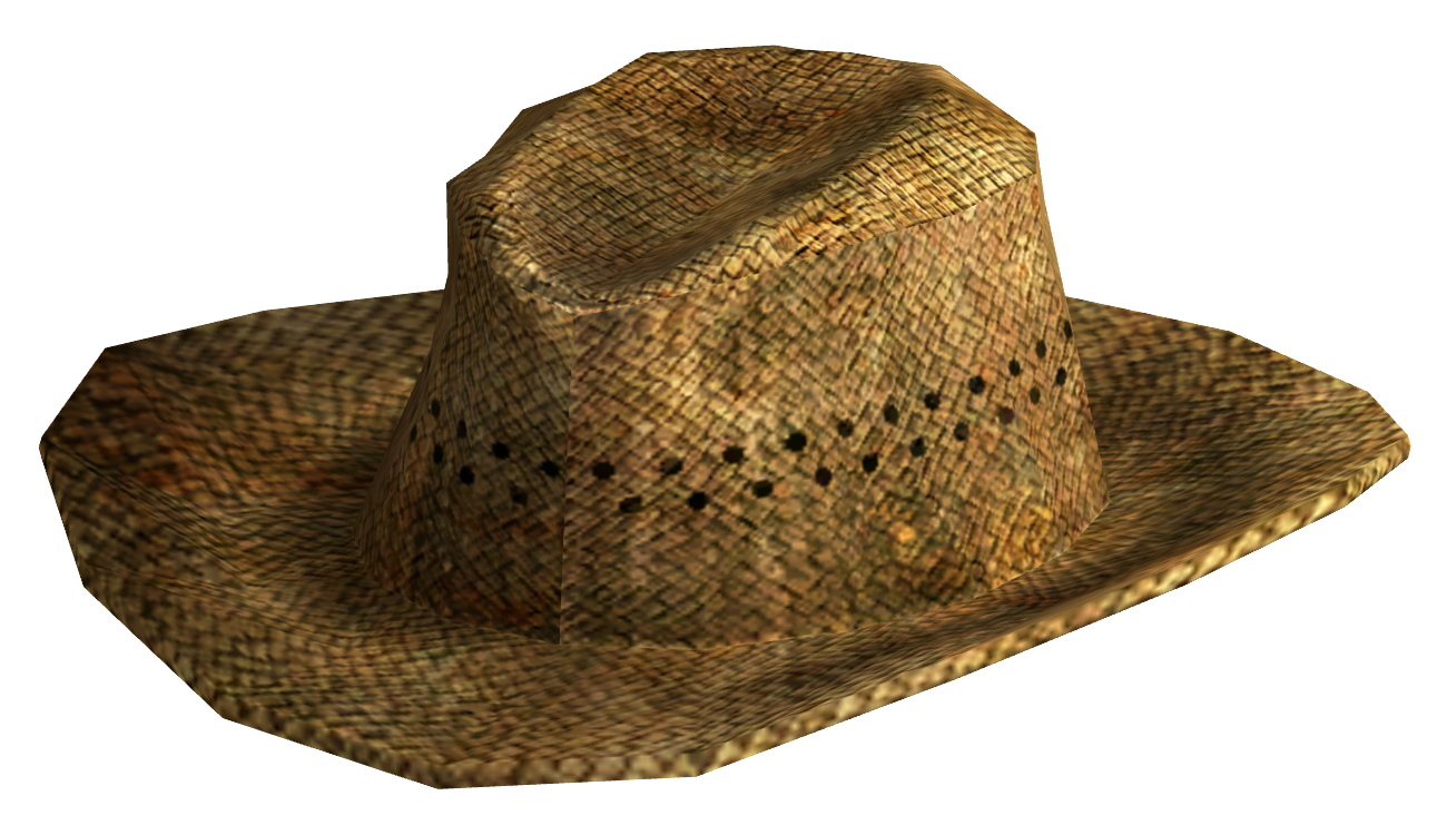 Cowboy Chapeau PNG image de haute qualité