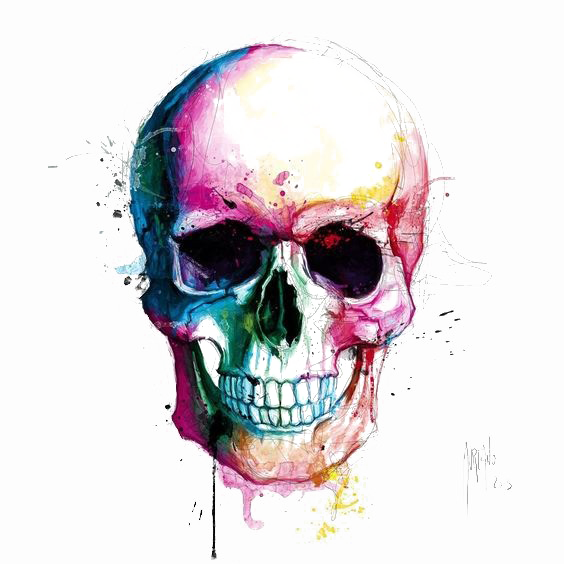 Creative Skull PNG Transparent Image