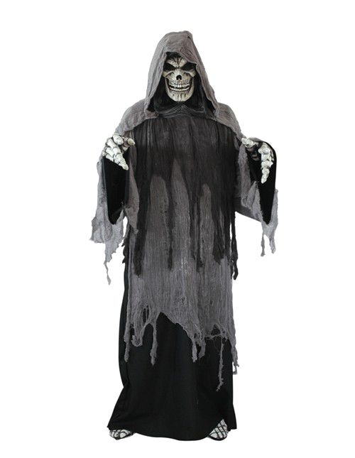 Roogy Witch Free PNG Image