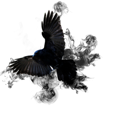 Crow PNG Download Image