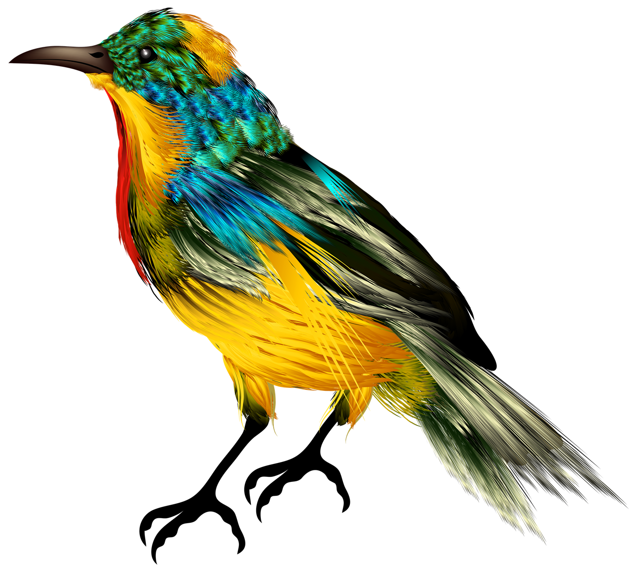 Cute Bird Download PNG Image
