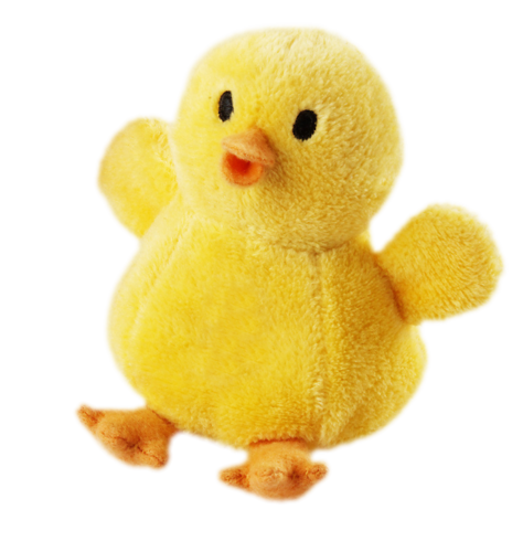 Cute Duck PNG Image