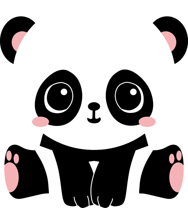 Imagens transparentes de panda bonitos
