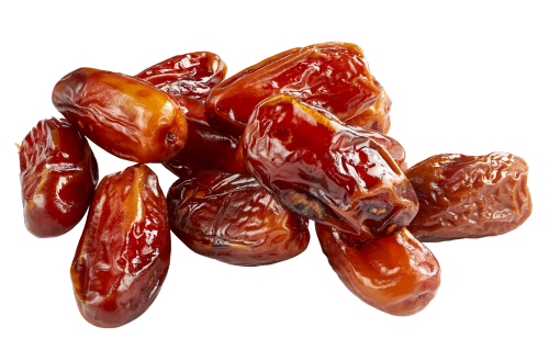 Date Palm PNG High-Quality Image