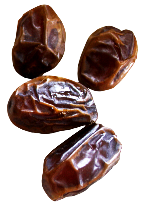 Date Palm PNG Photo