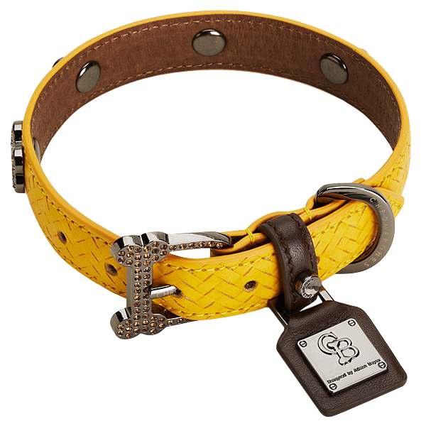 Dog Collar PNG High-Quality Image
