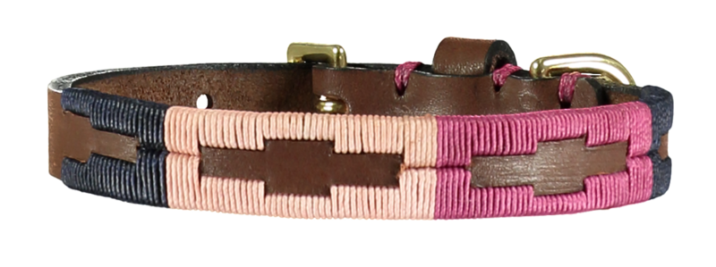 Dog Collar PNG Picture
