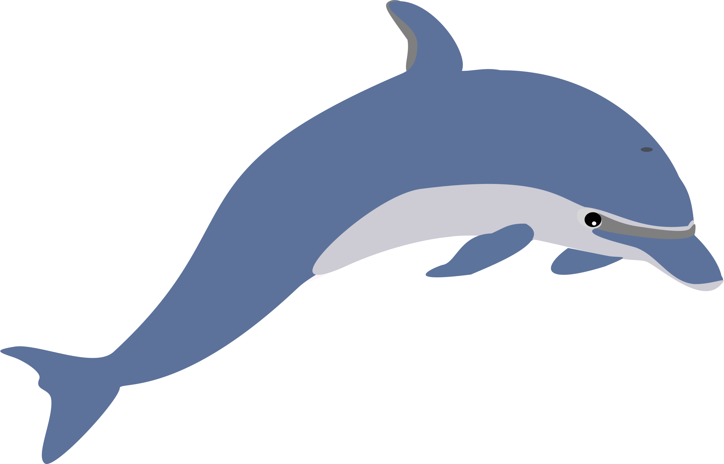 Dolphin PNG Photo