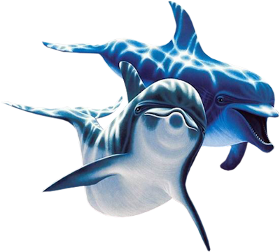 Imagens transparentes de golfinho