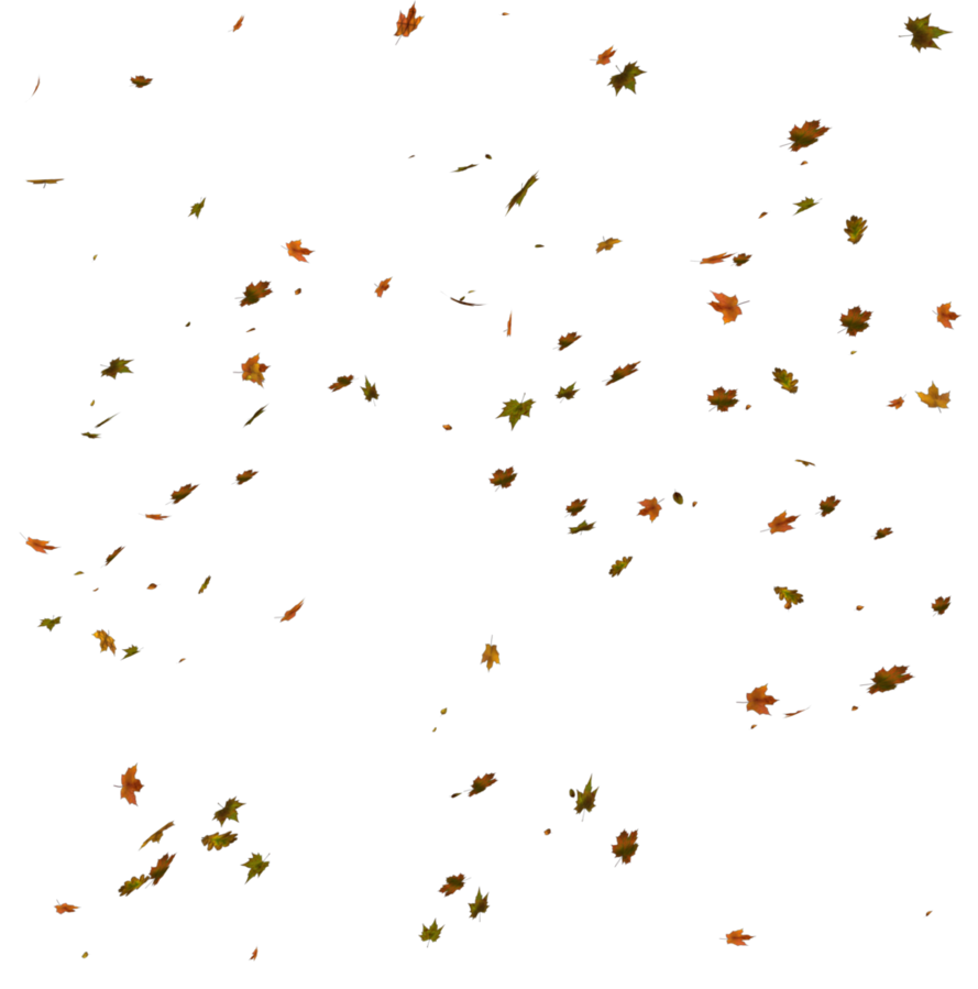 Falling Autumn Leaves PNG Background Image
