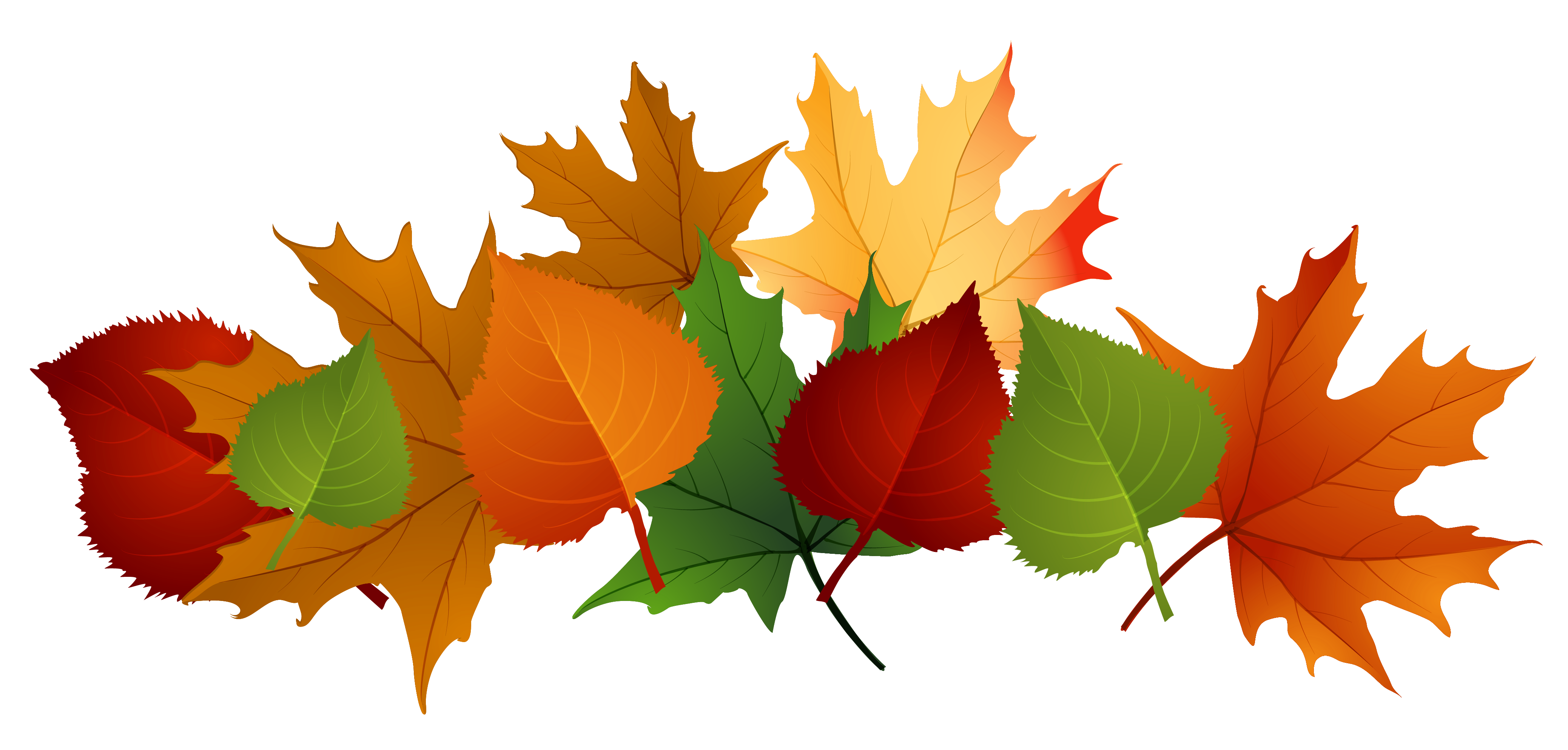 Falling Autumn Leaves PNG Photo