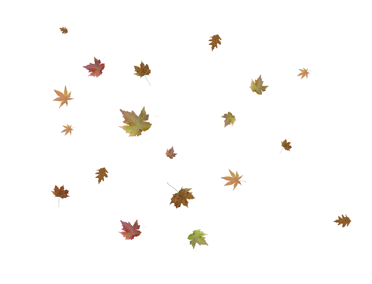 Falling Autumn Leaves PNG Pic