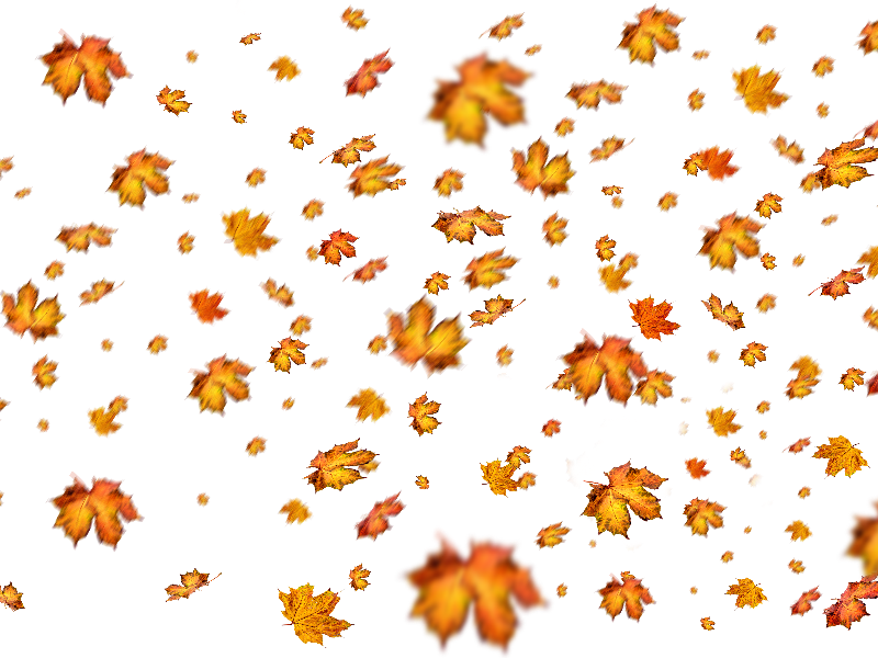 Folhas de outono caindo imagens PNG