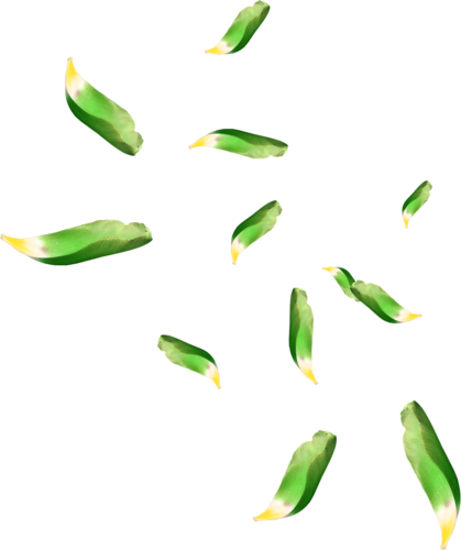 Tomber feuilles vertes PNG Image de haute qualité
