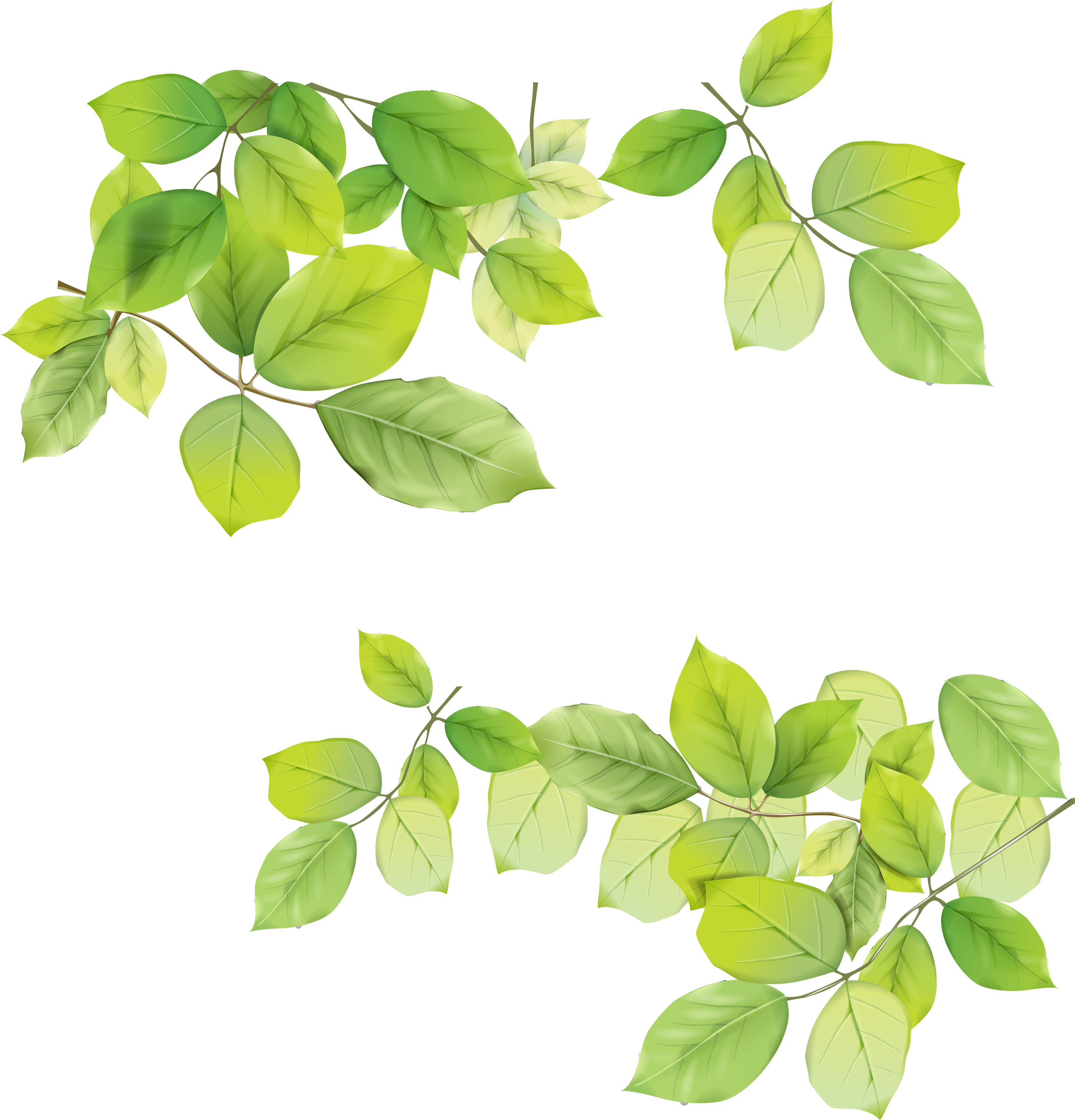 Falling Green Leaves PNG Image
