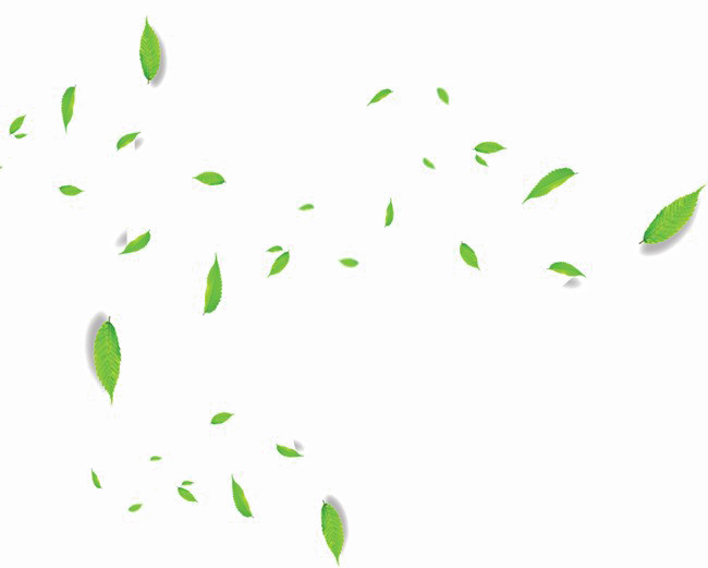 Falling Green Leaves PNG Transparent Image