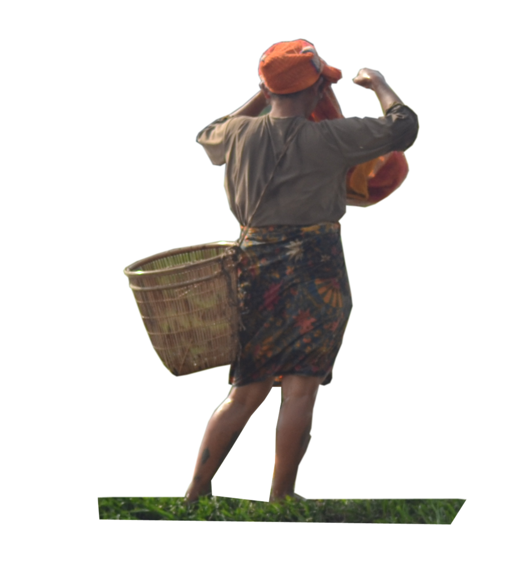 Farmer PNG Picture