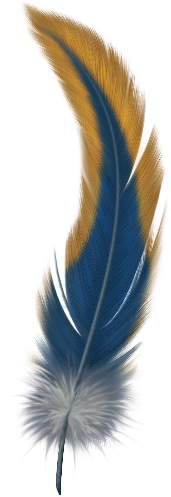 Feather Free PNG Image