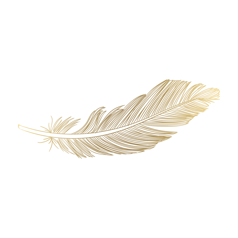 Feather PNG Download Image