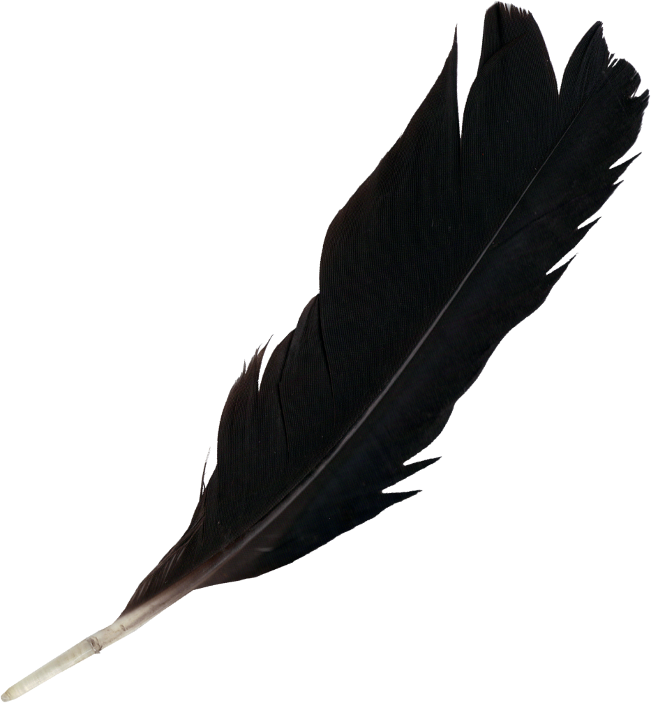Feather PNG photo
