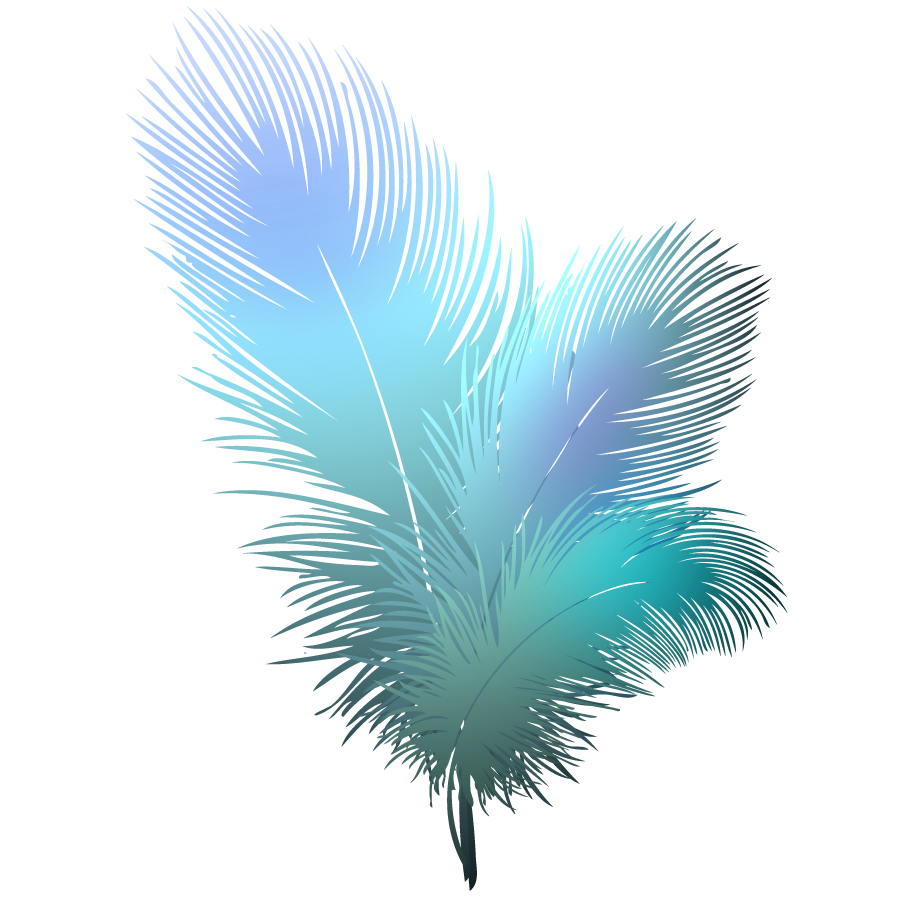 Imagen Transparente de plumas