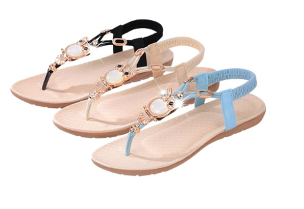 Flat Sandal PNG Picture