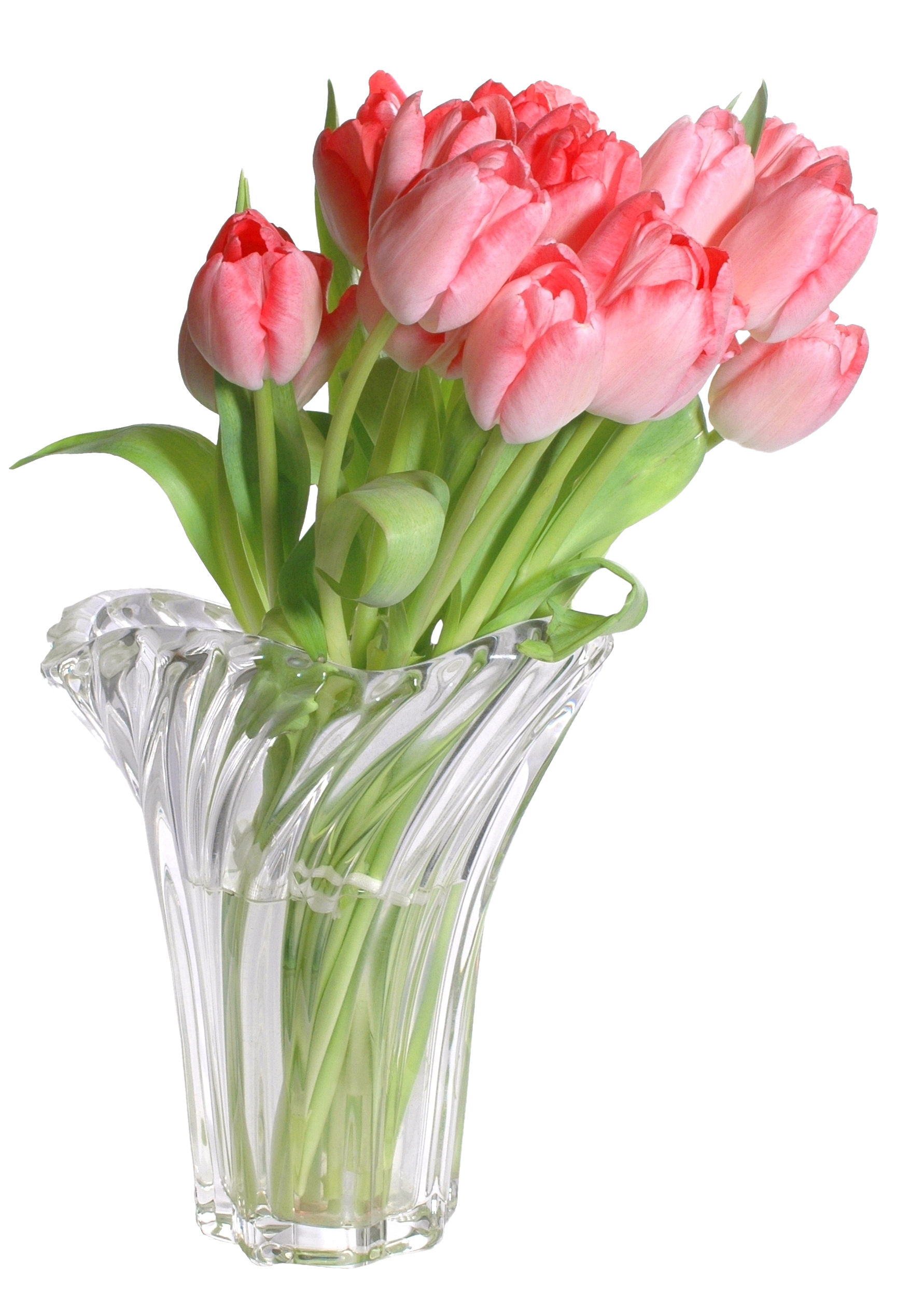 Florero de flores Descargar imagen PNG Transparente