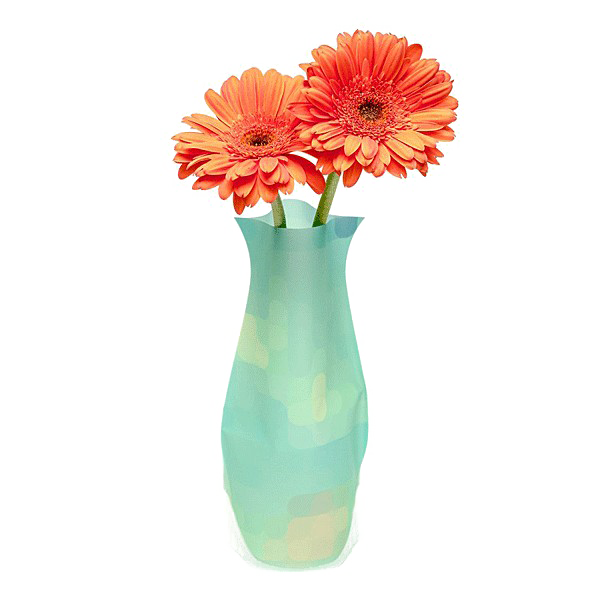 Flower Vase PNG Image