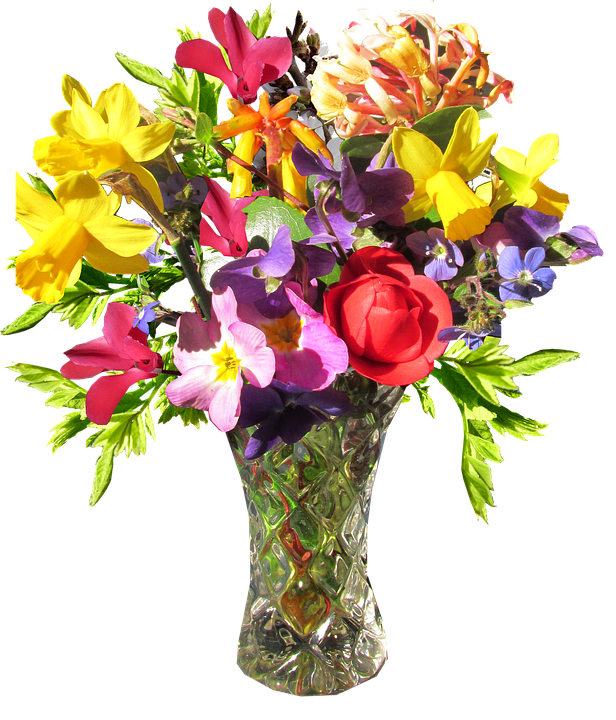 Photo de fleur Vase PNG