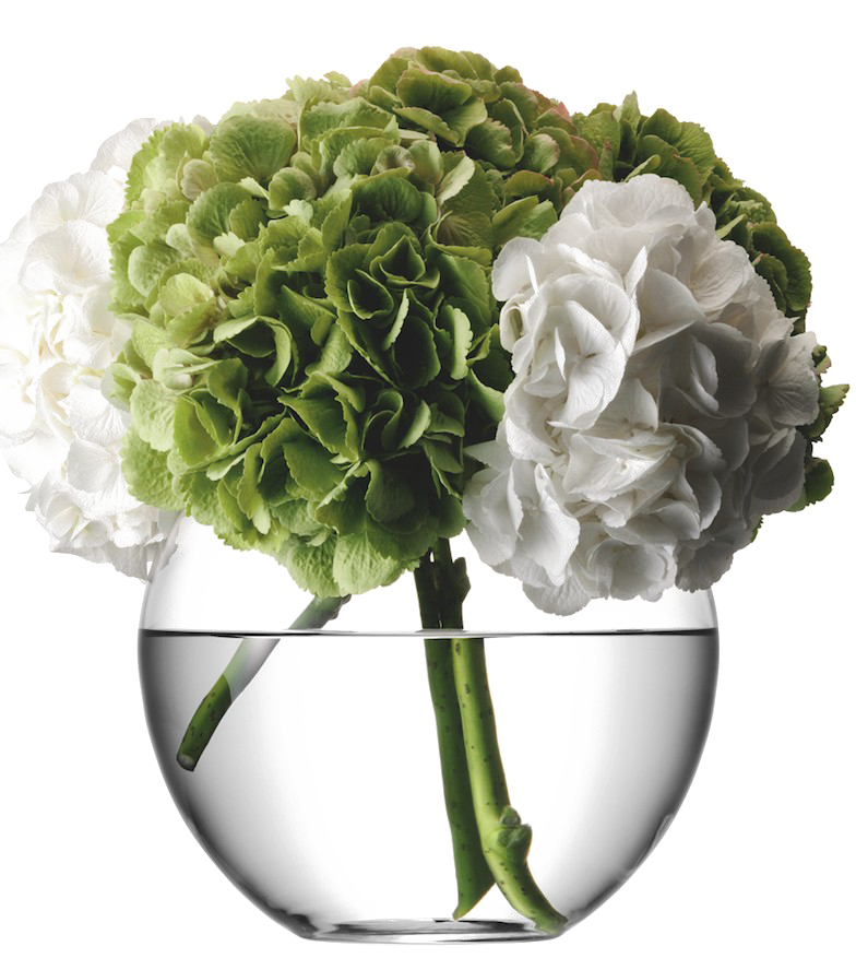 Vase de fleurs PNG IMPORT