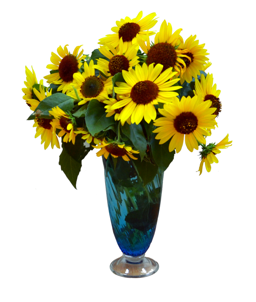 Vase de fleur Fond Transparent PNG