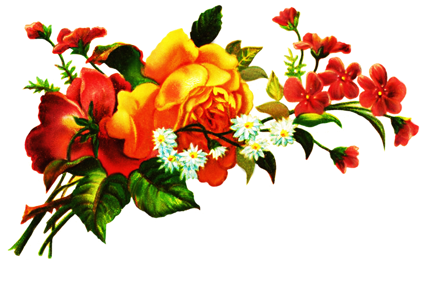Fleurs Télécharger PNG Image