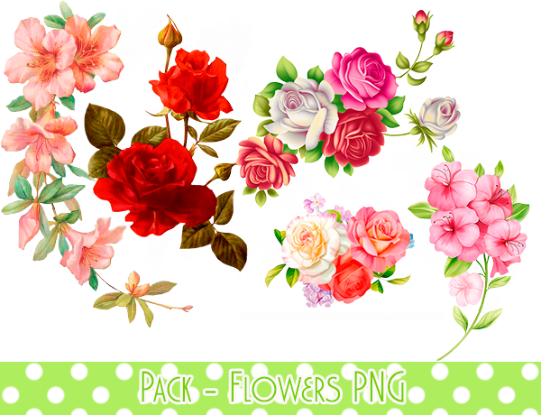 Flores de fundo de PNG de flores