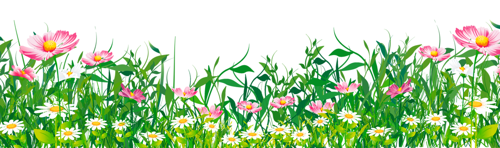 Blumen PNG-Bild