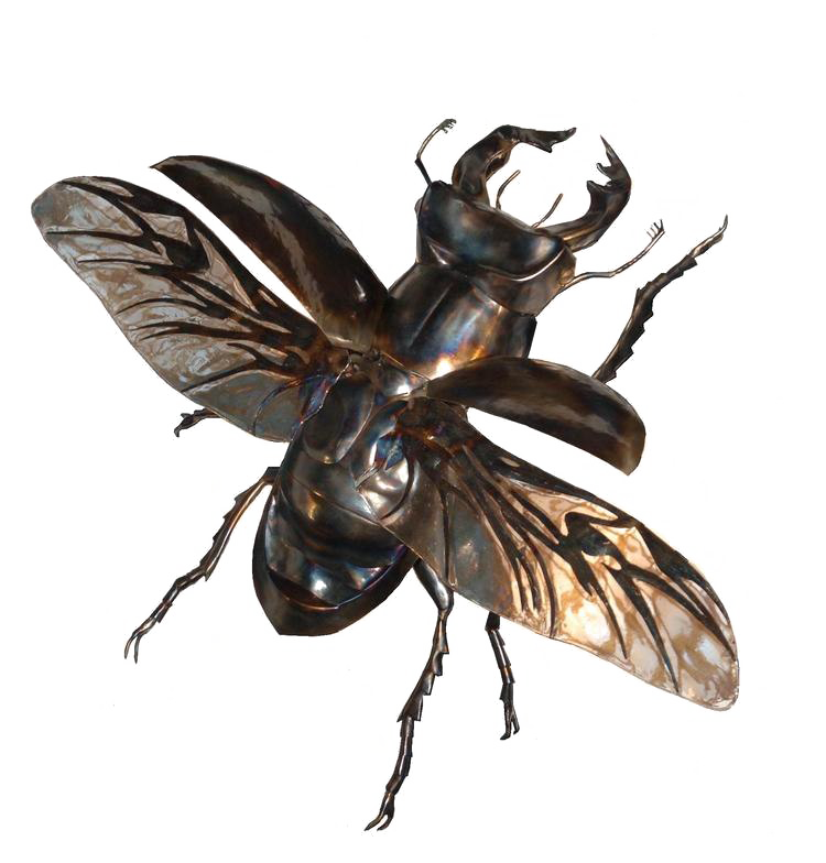 Flying Bug PNG Image Background