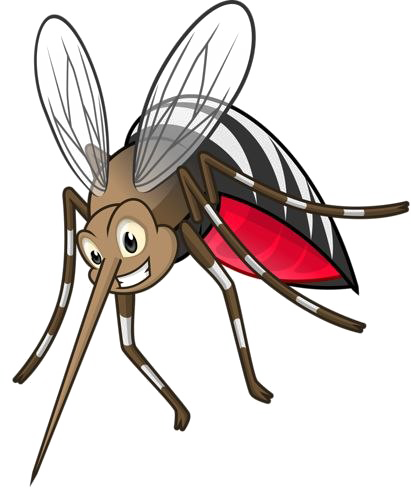 Flying Bug PNG Image