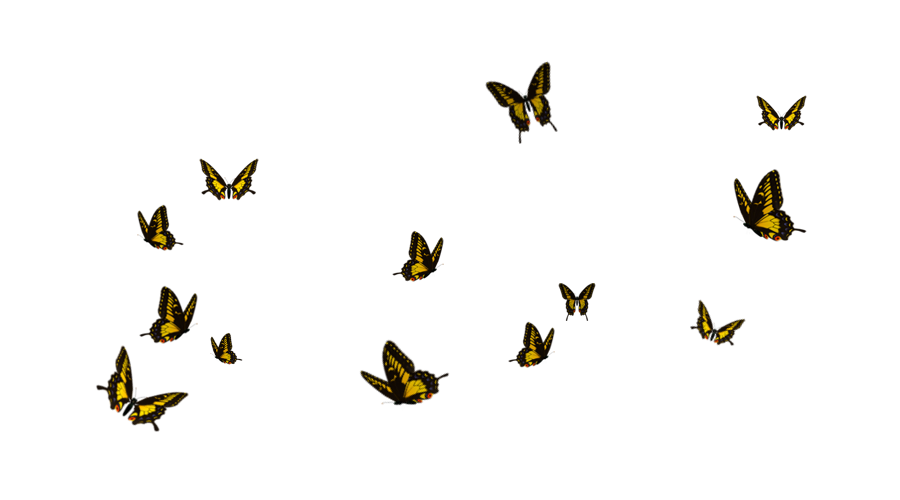 Flying Butterfly Download PNG-Afbeelding