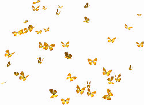 Flying Butterfly Download Transparante PNG-Afbeelding