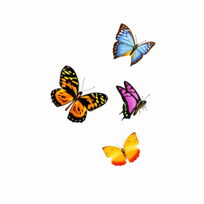 Flying Butterfly PNG Image Background