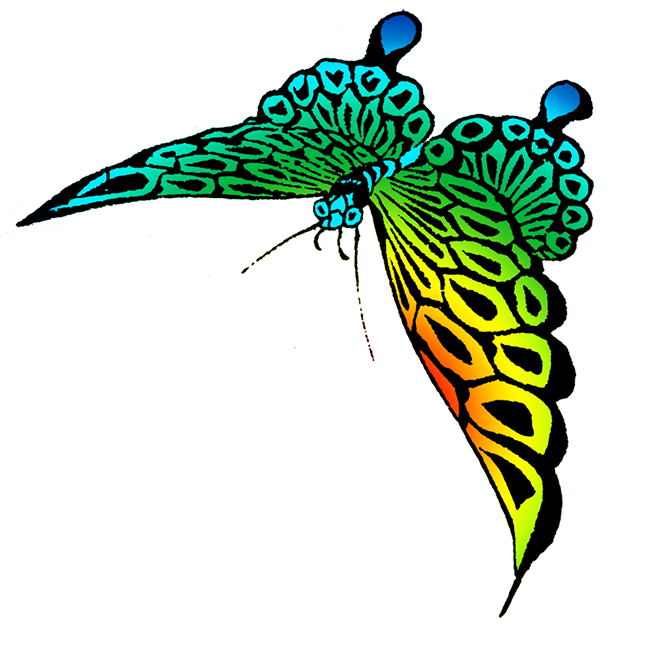 Flying Butterfly PNG Image with Transparent Background