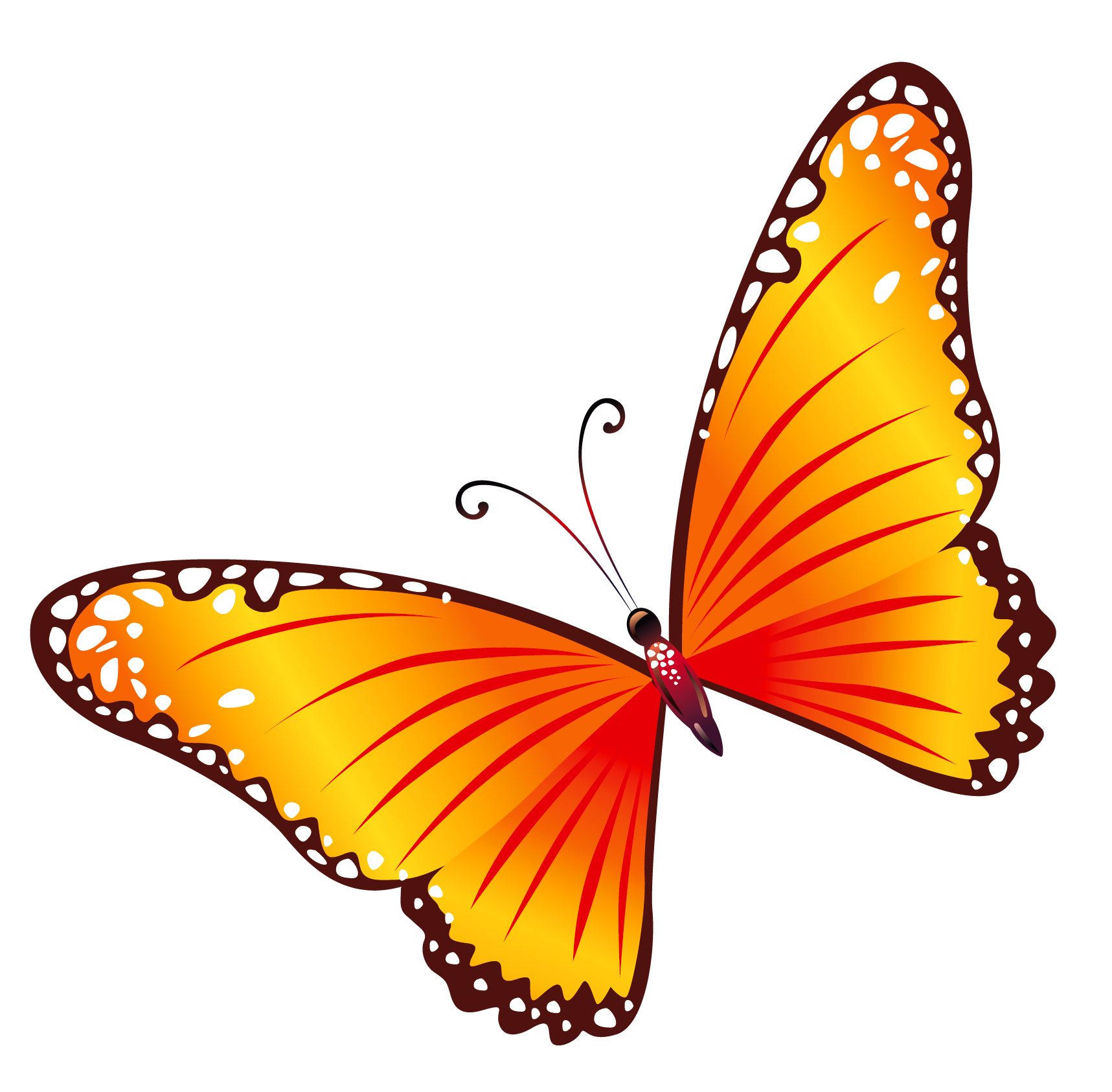 Flying Butterfly PNG Image