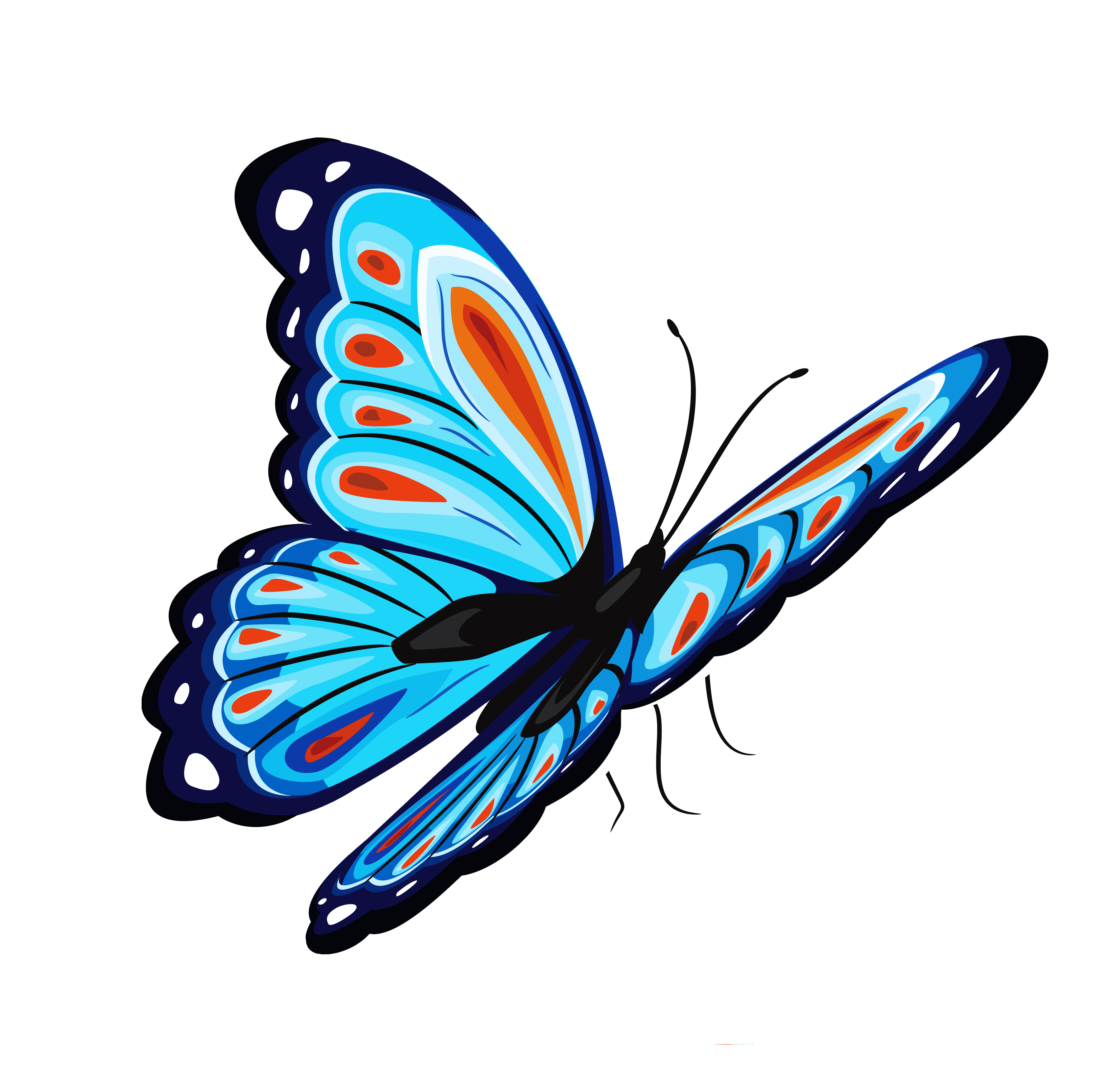 Vliegende vlinder PNG Foto