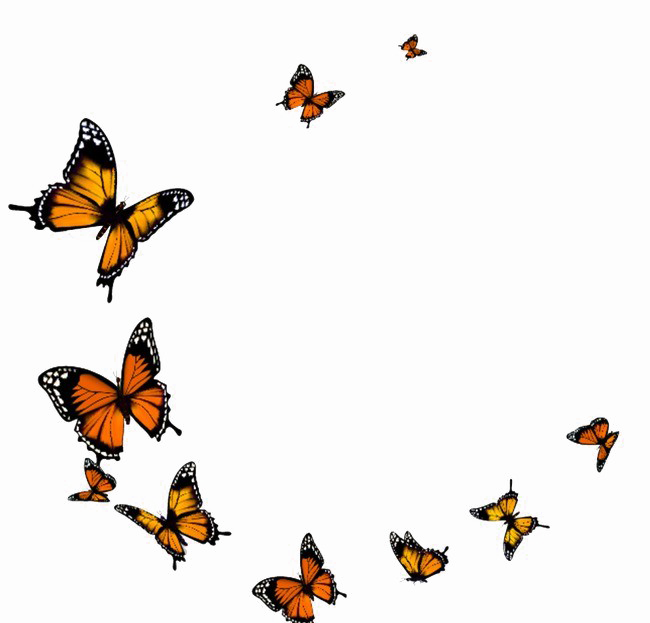 Flying Butterfly PNG Transparent Image