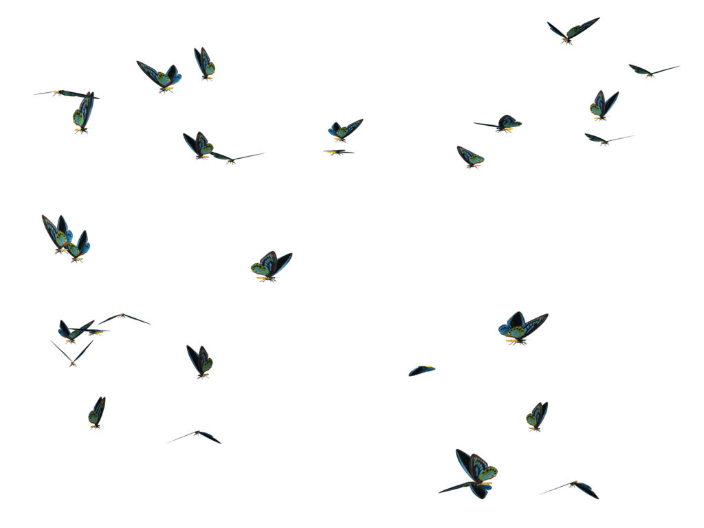 Imágenes de mariposa volando